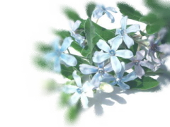 ���Ƃ��킽�̉�